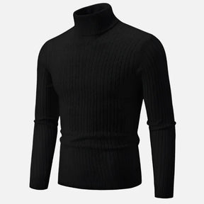 Suéter Masculino Pullover de Gola Alta Ferrutini FRT231
